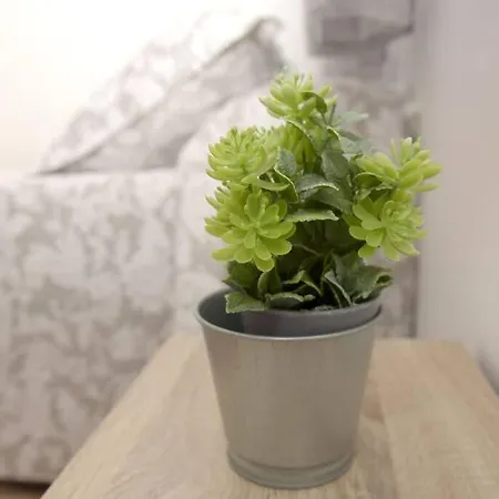 Elena - Sólo Familias Y Parejas