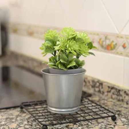 Elena - Sólo Familias Y Parejas