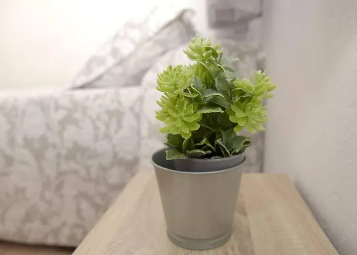 Elena - Sólo Familias Y Parejas