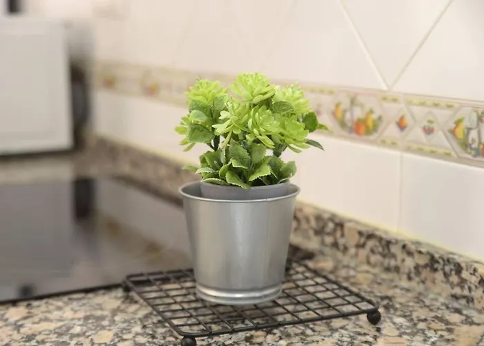 Elena - Sólo Familias Y Parejas